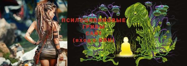 молекула духа Алексин