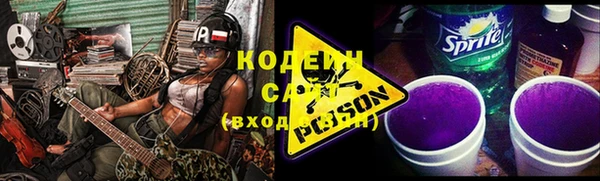 хмурый Алзамай