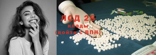 хмурый Алзамай