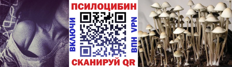 Галлюциногенные грибы Magic Shrooms  ОМГ ОМГ ССЫЛКА  Яровое 